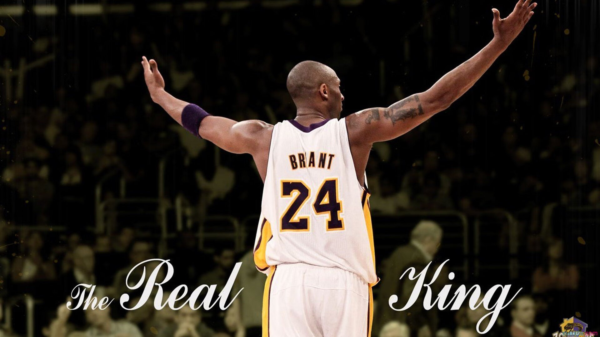 库里刷新纪录NBA总决赛，库里总决赛场次