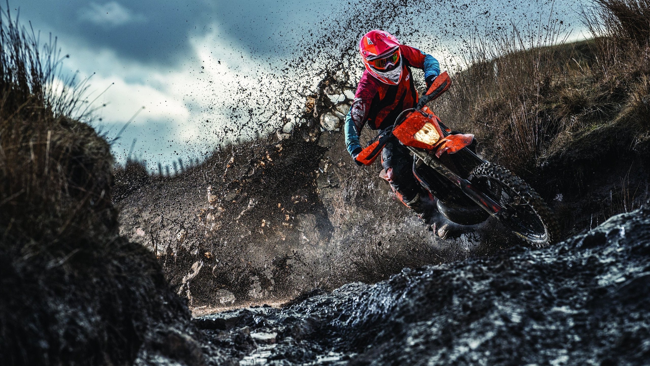 爱游戏娱乐网址-媒体开放日首次开放战术课引发广泛讨论与分析，媒体开放日活动方案